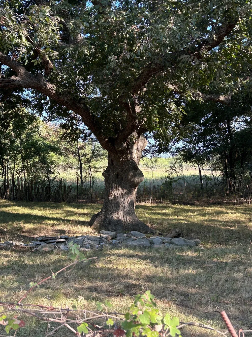3500 County Road 3230 Hubbard, TX 76648