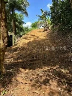 RD 942 Gurabo, PR 00778