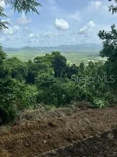 RD 942 Gurabo, PR 00778