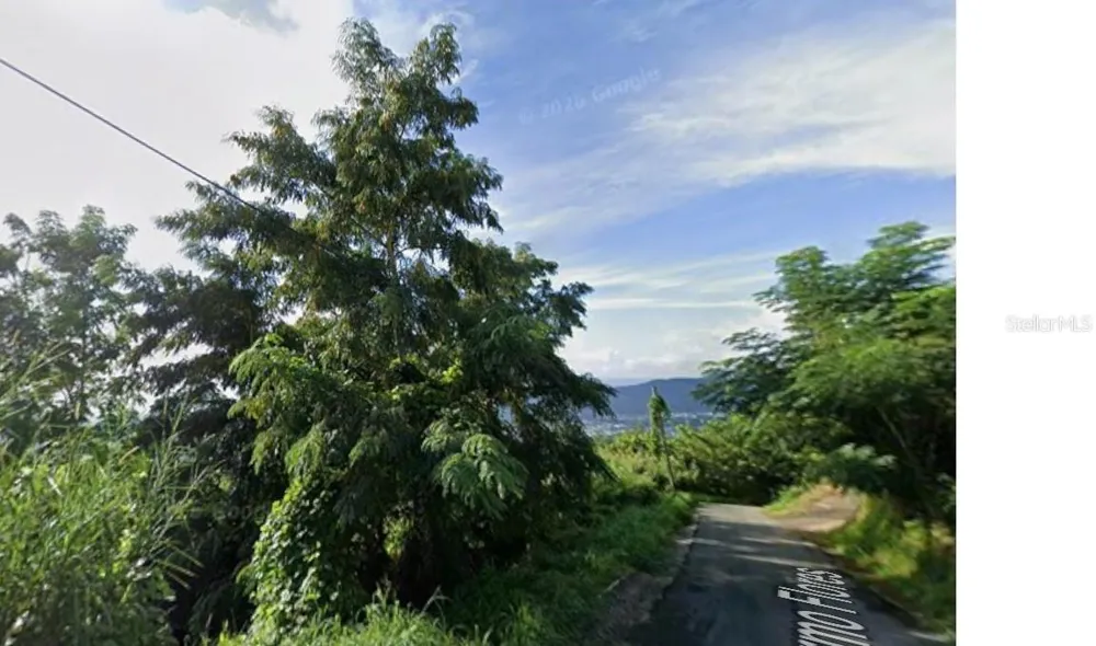 RD 942 Gurabo, PR 00778