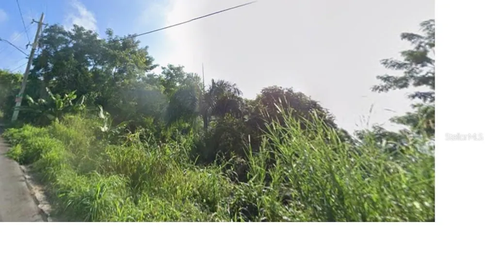 RD 942 Gurabo, PR 00778
