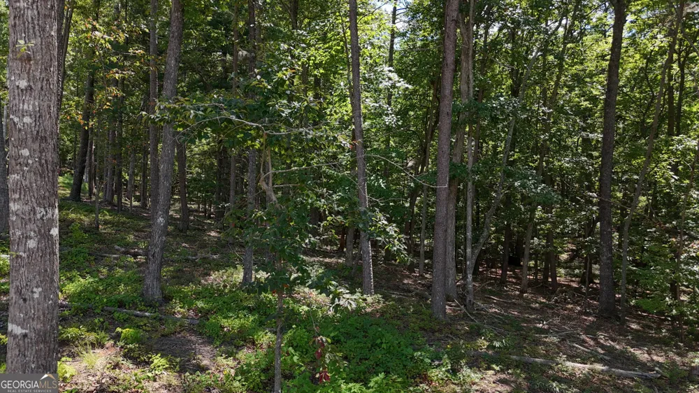 0 Sautee Ridge RD Clarkesville, GA 30523