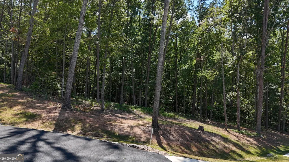 0 Sautee Ridge RD Clarkesville, GA 30523