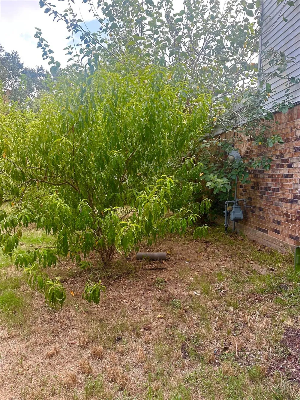 15815 Boridge Circle Houston, TX 77053