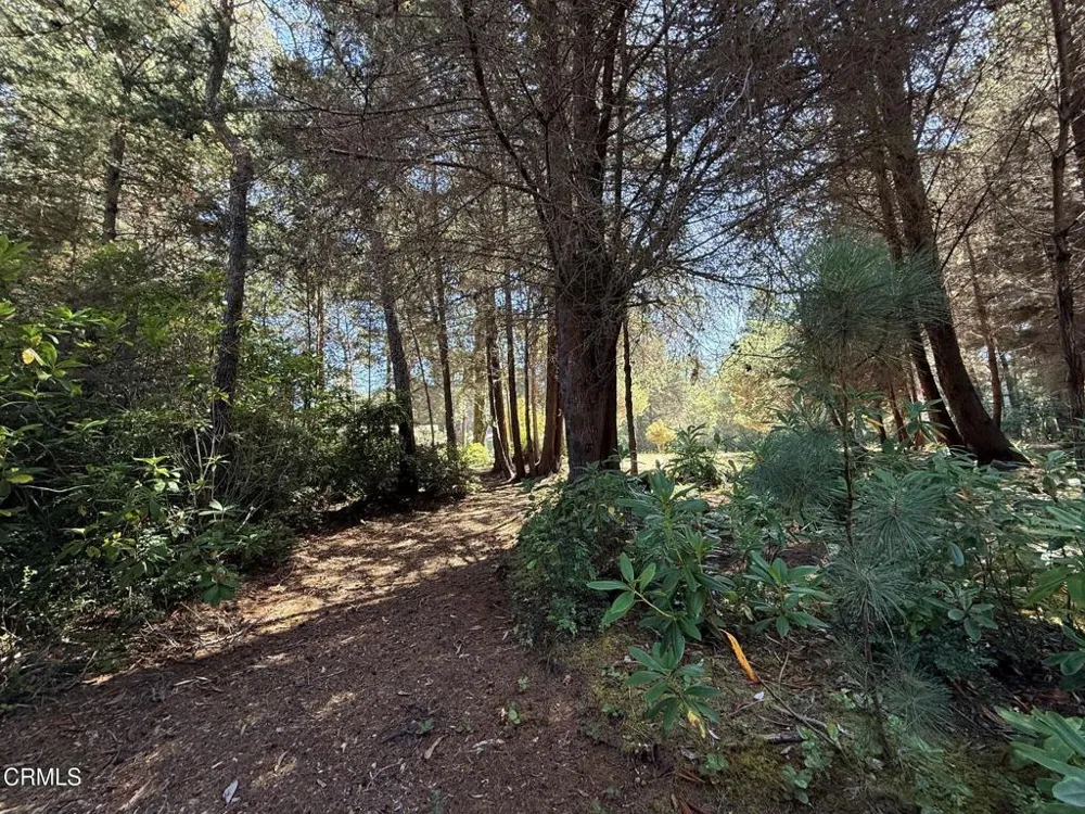 31290 Thomas Lane Fort Bragg, CA 95437