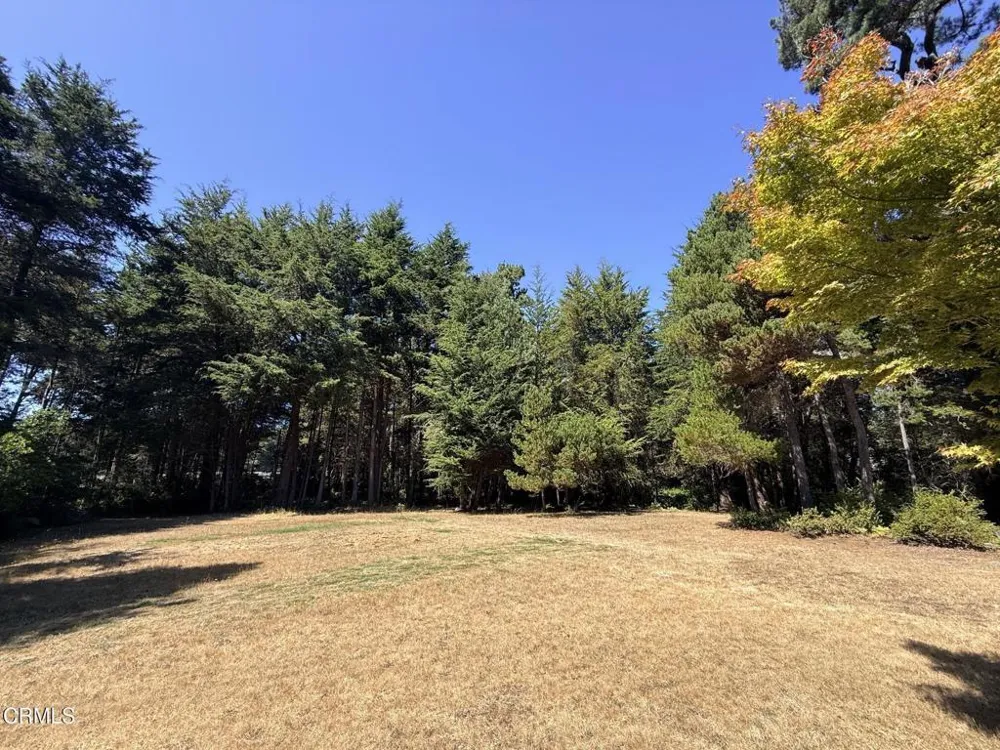 31290 Thomas Lane Fort Bragg, CA 95437
