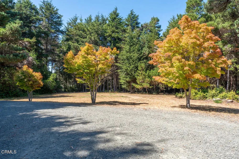 31290 Thomas Lane Fort Bragg, CA 95437