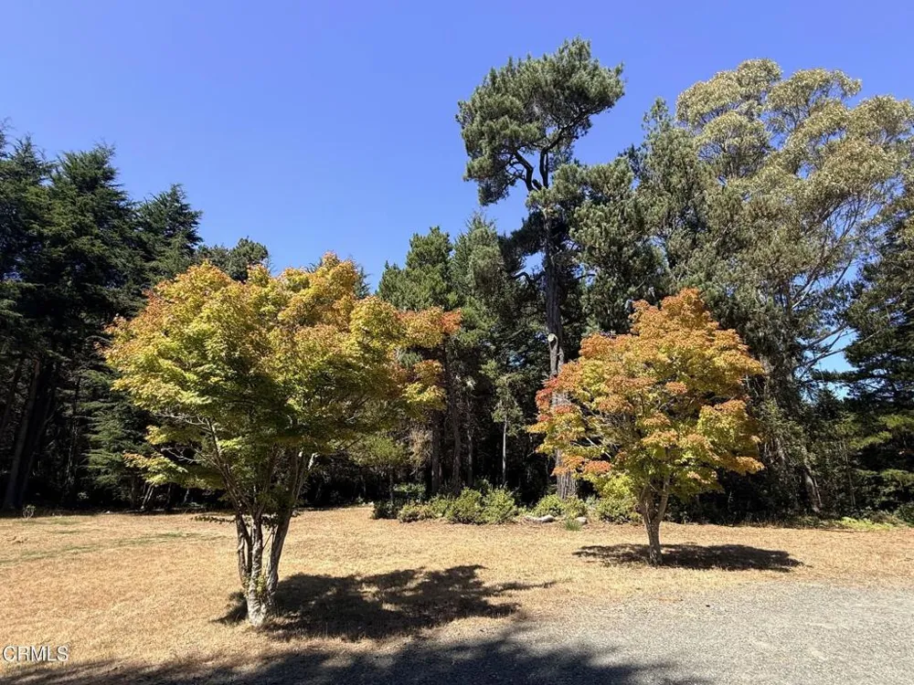31290 Thomas Lane Fort Bragg, CA 95437