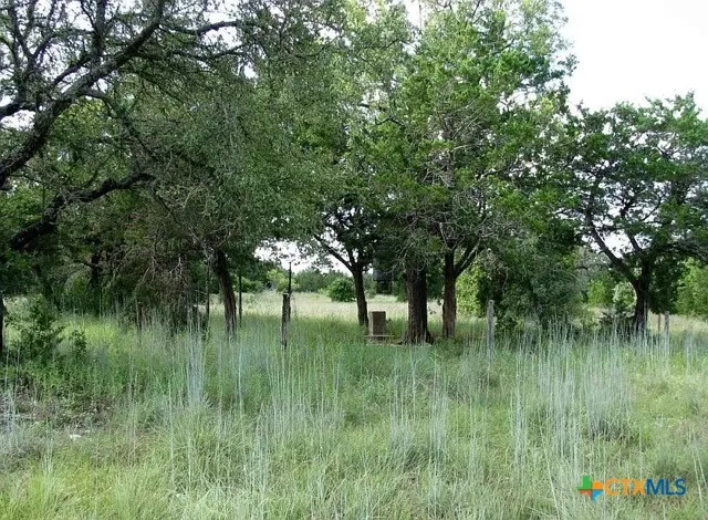 3650 Fm 932 Jonesboro, TX 76538