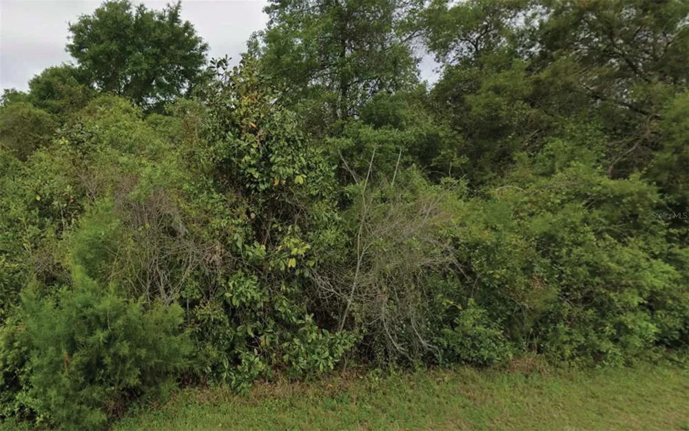NE 236TH LANE Fort Mc Coy, FL 32134