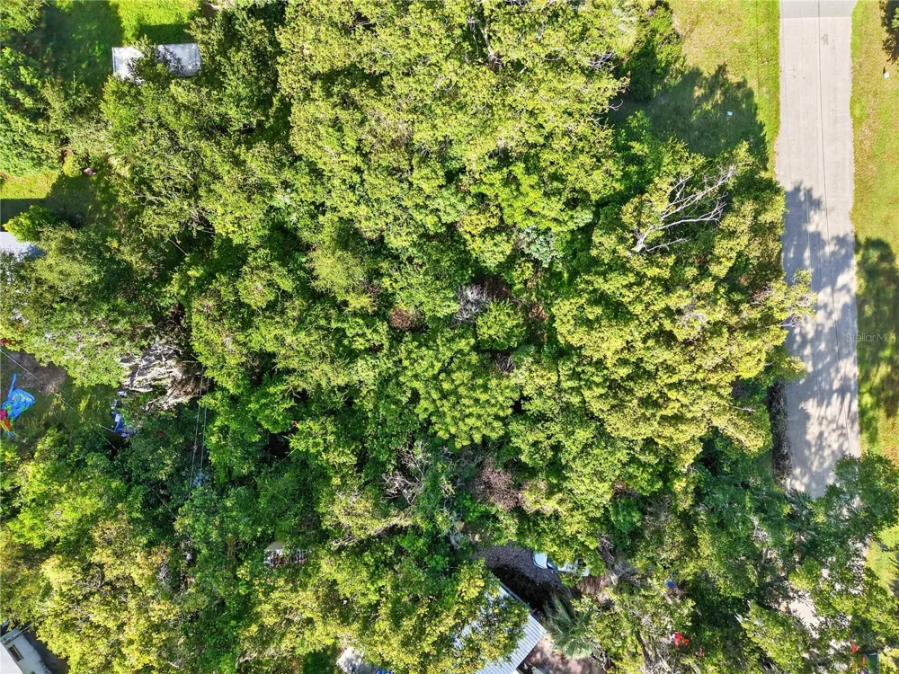 445 NW 32ND AVENUE Gainesville, FL 32609