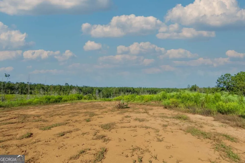 TRACT 4 Highway 0036 Woodland, GA 31836