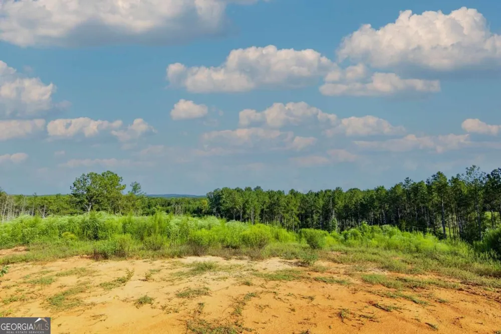 TRACT 4 Highway 0036 Woodland, GA 31836