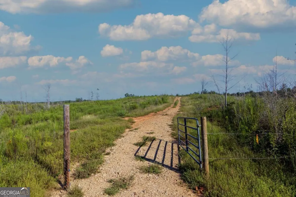 TRACT 4 Highway 0036 Woodland, GA 31836