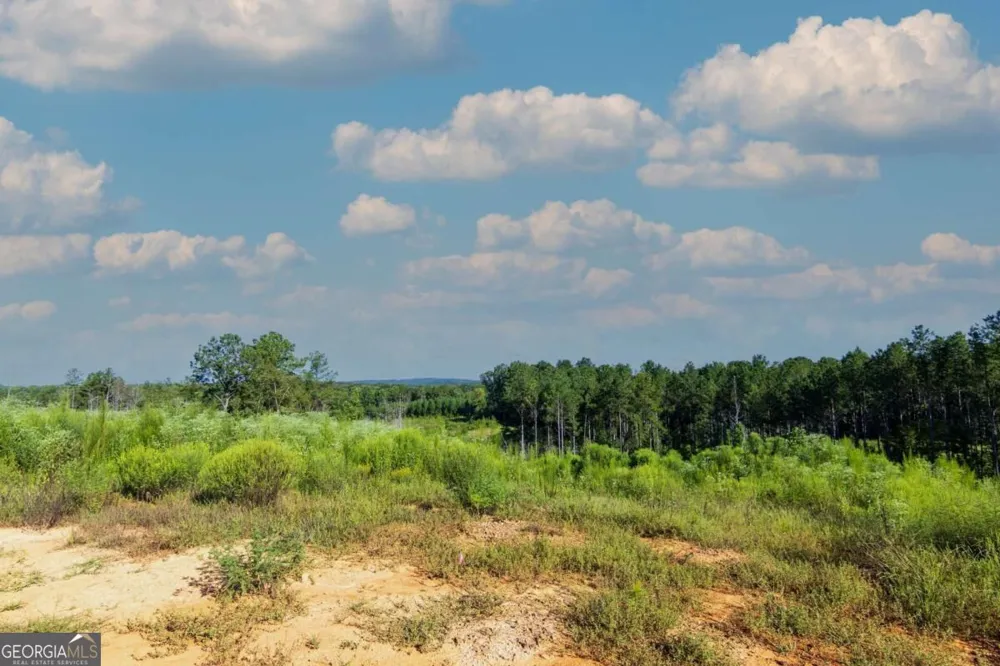 TRACT 4 Highway 0036 Woodland, GA 31836