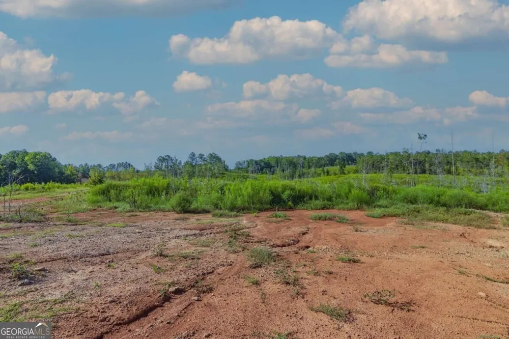 TRACT 4 Highway 0036 Woodland, GA 31836