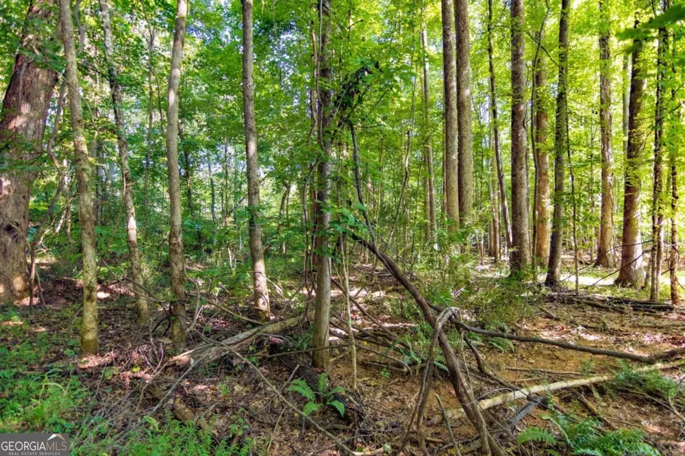 TRACT 4 Highway 0036 Woodland, GA 31836