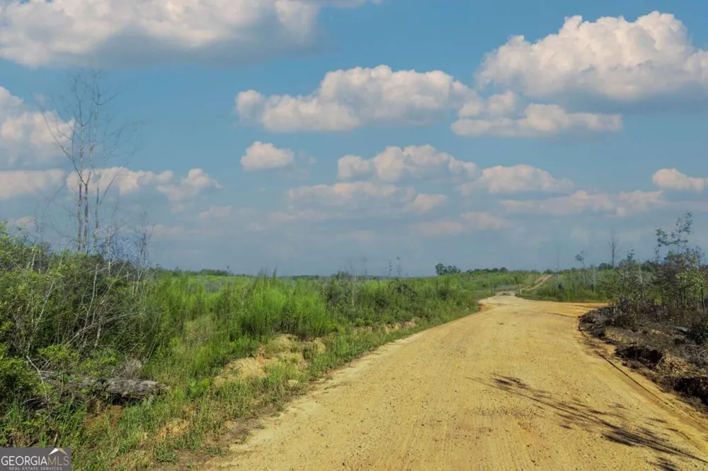 TRACT 4 Highway 0036 Woodland, GA 31836