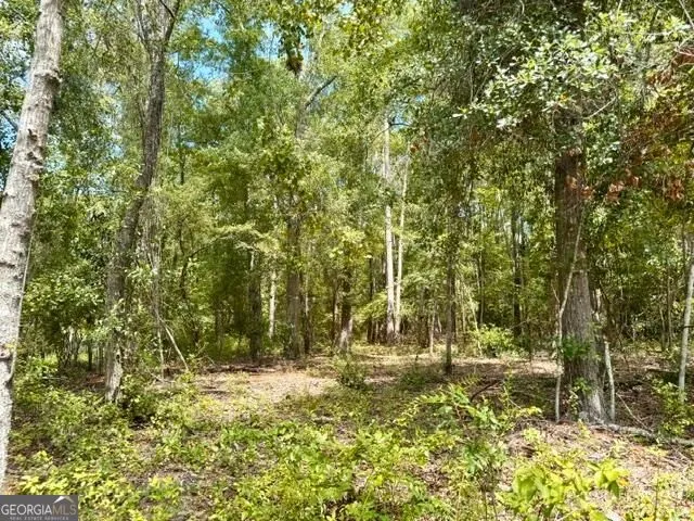 LOT 18 Old Mill WAY Statesboro, GA 30461