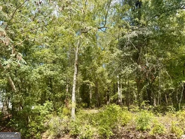 LOT 18 Old Mill WAY Statesboro, GA 30461