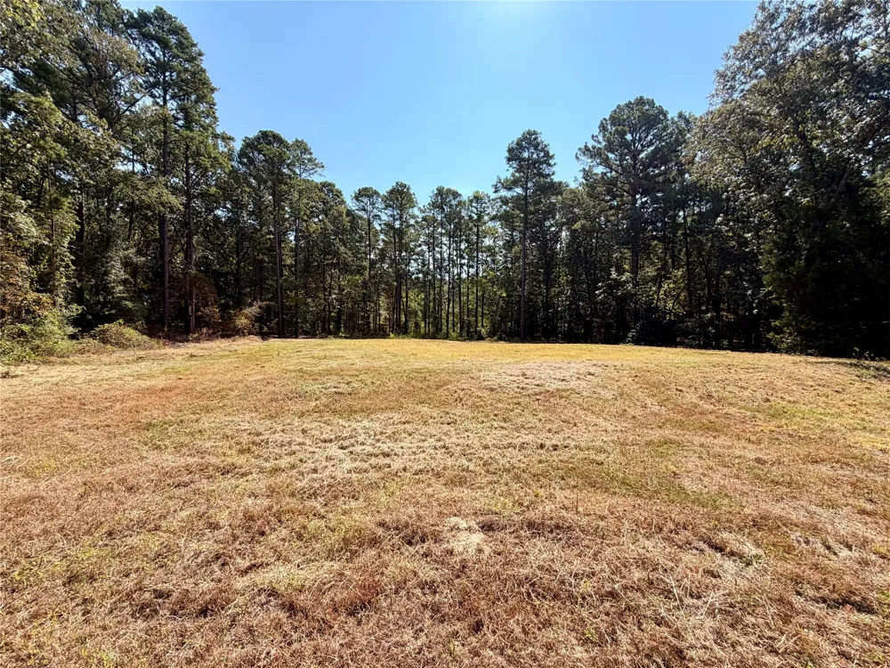 18084 Deer Trail Flint, TX 75762