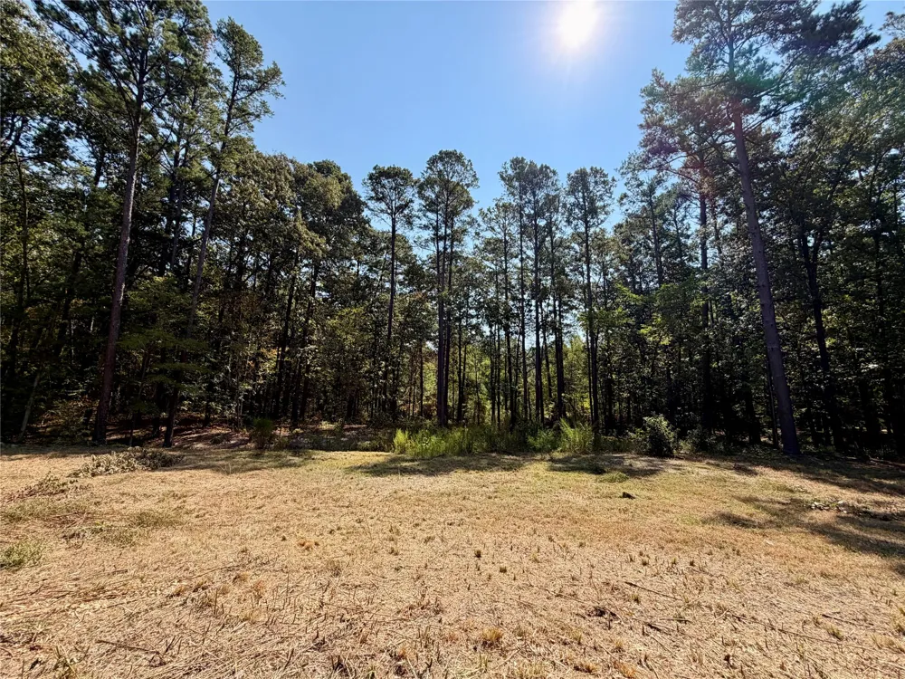 18084 Deer Trail Flint, TX 75762