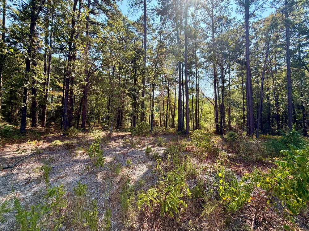 18084 Deer Trail Flint, TX 75762