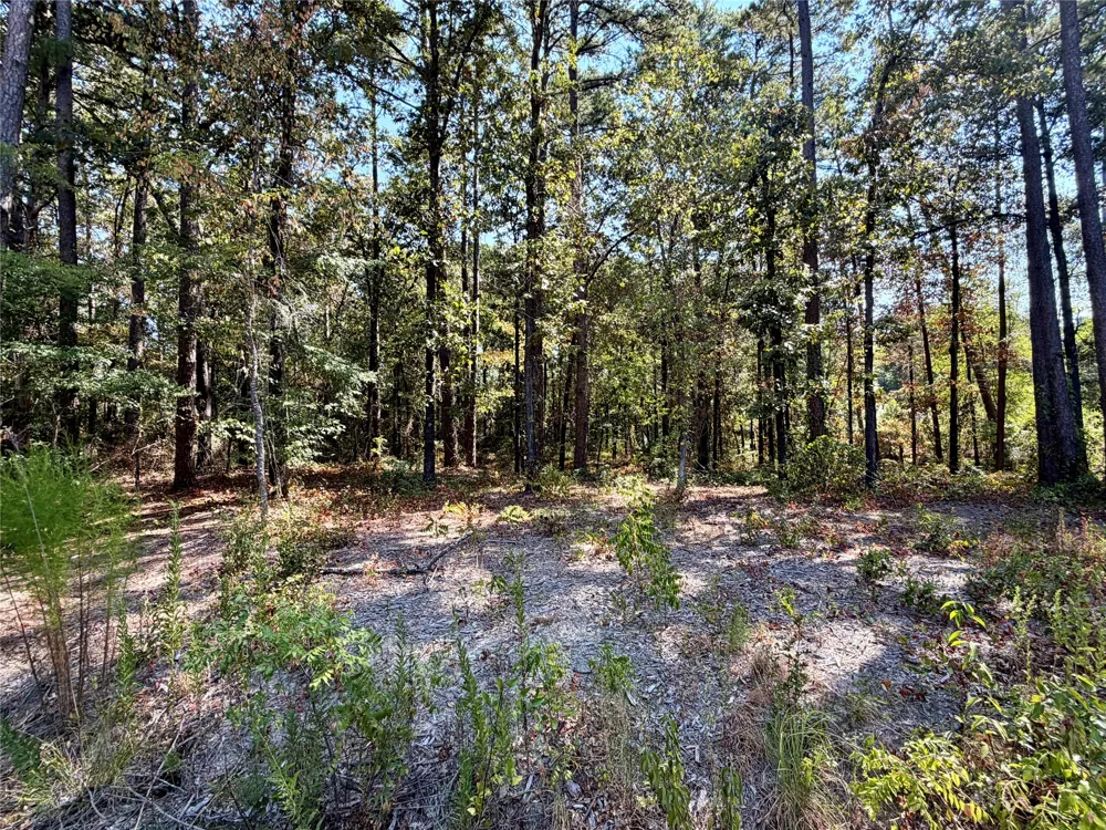 18084 Deer Trail Flint, TX 75762