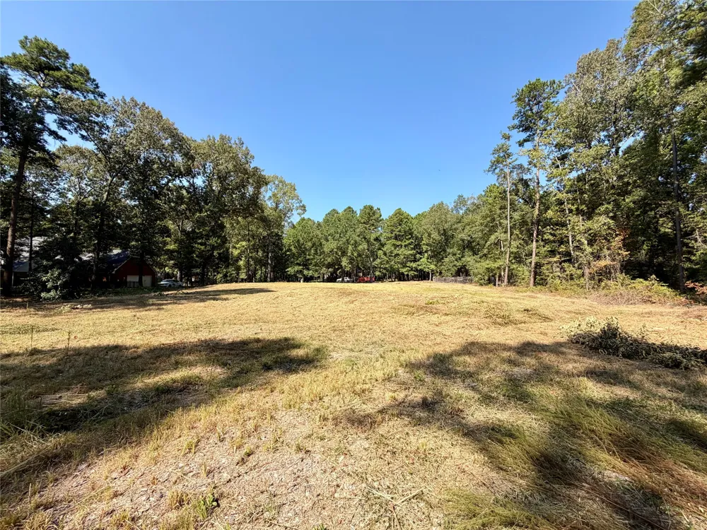 18084 Deer Trail Flint, TX 75762