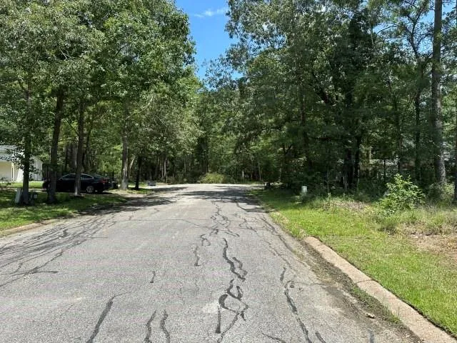 28617 Rantoul Court Huntsville, TX 77320