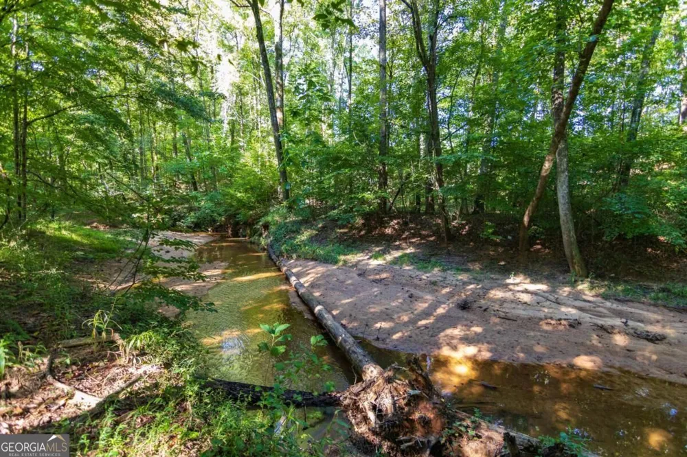 TRACT 6 Carlisle Gap RD Woodland, GA 31836