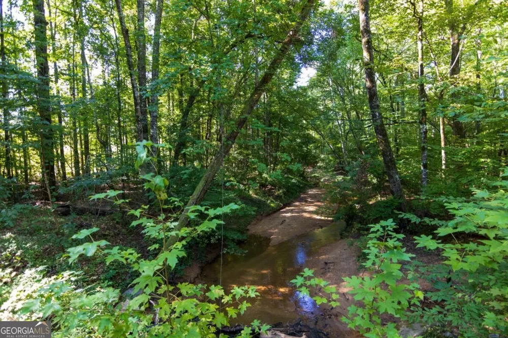 TRACT 6 Carlisle Gap RD Woodland, GA 31836