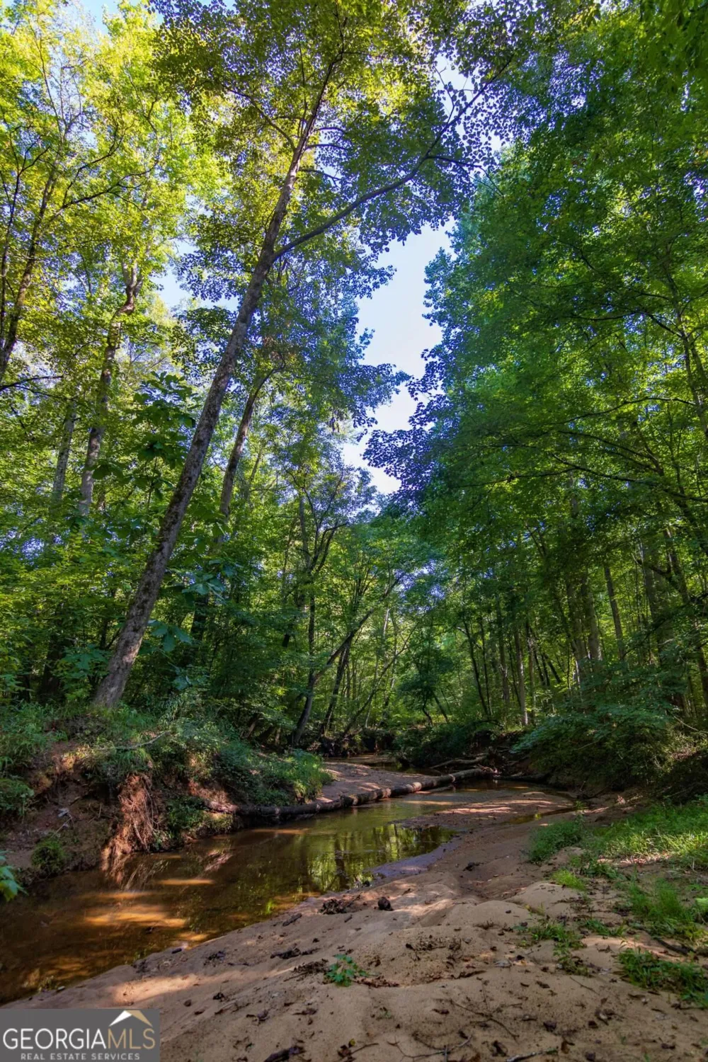 TRACT 6 Carlisle Gap RD Woodland, GA 31836