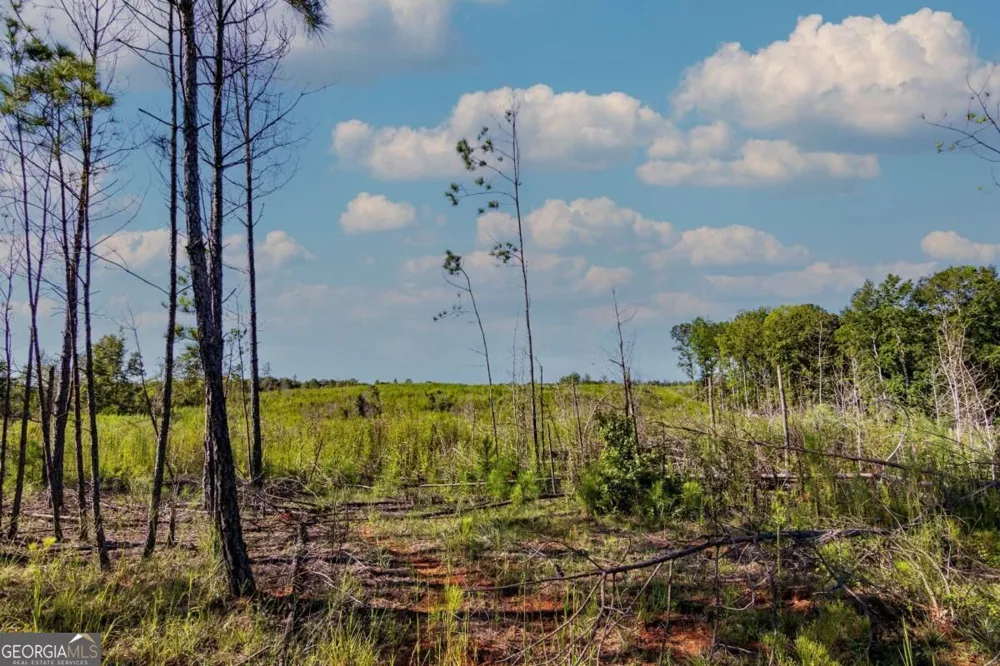 TRACT 6 Carlisle Gap RD Woodland, GA 31836