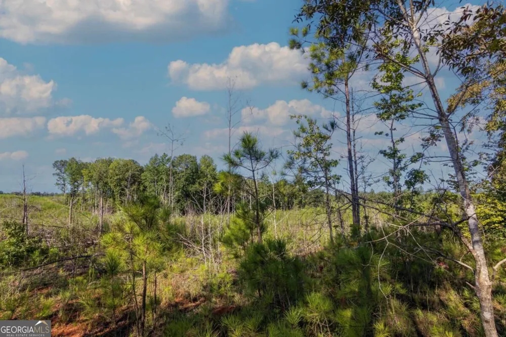 TRACT 6 Carlisle Gap RD Woodland, GA 31836