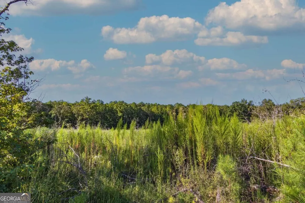 TRACT 7 Carlisle Gap RD Woodland, GA 31836