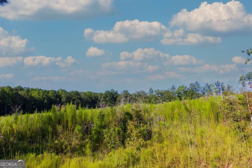 TRACT 7 Carlisle Gap RD Woodland, GA 31836