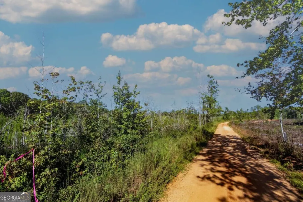TRACT 7 Carlisle Gap RD Woodland, GA 31836