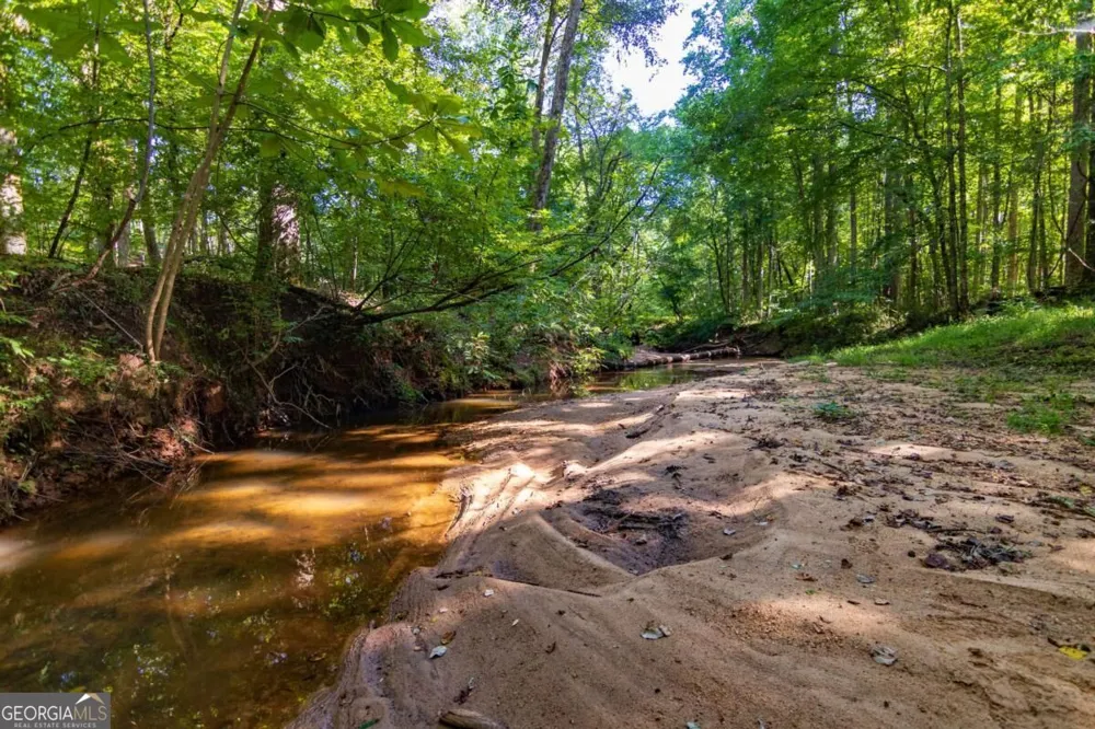 TRACT 7 Carlisle Gap RD Woodland, GA 31836