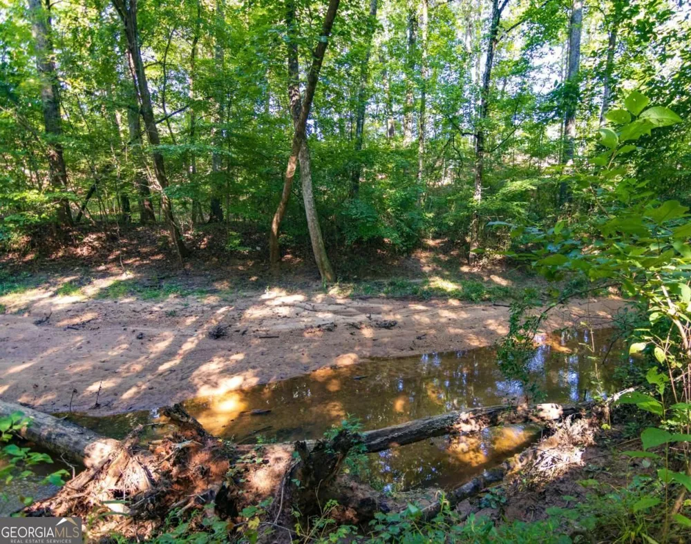 TRACT 7 Carlisle Gap RD Woodland, GA 31836