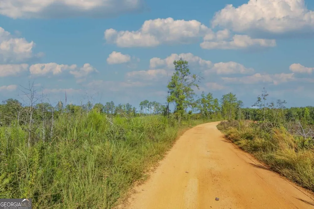 TRACT 7 Carlisle Gap RD Woodland, GA 31836
