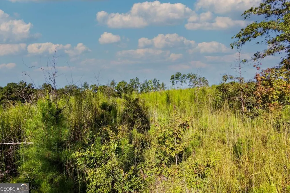 TRACT 7 Carlisle Gap RD Woodland, GA 31836