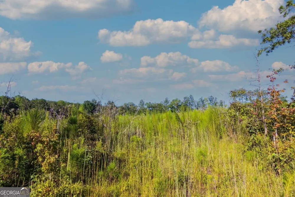 TRACT 7 Carlisle Gap RD Woodland, GA 31836