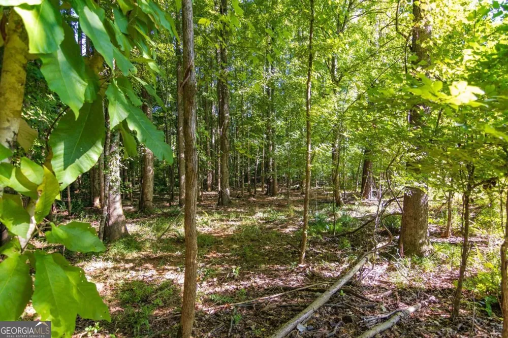 TRACT 7 Carlisle Gap RD Woodland, GA 31836