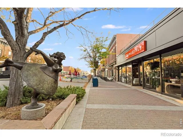 332 Osiander Street Fort Collins, CO 80524