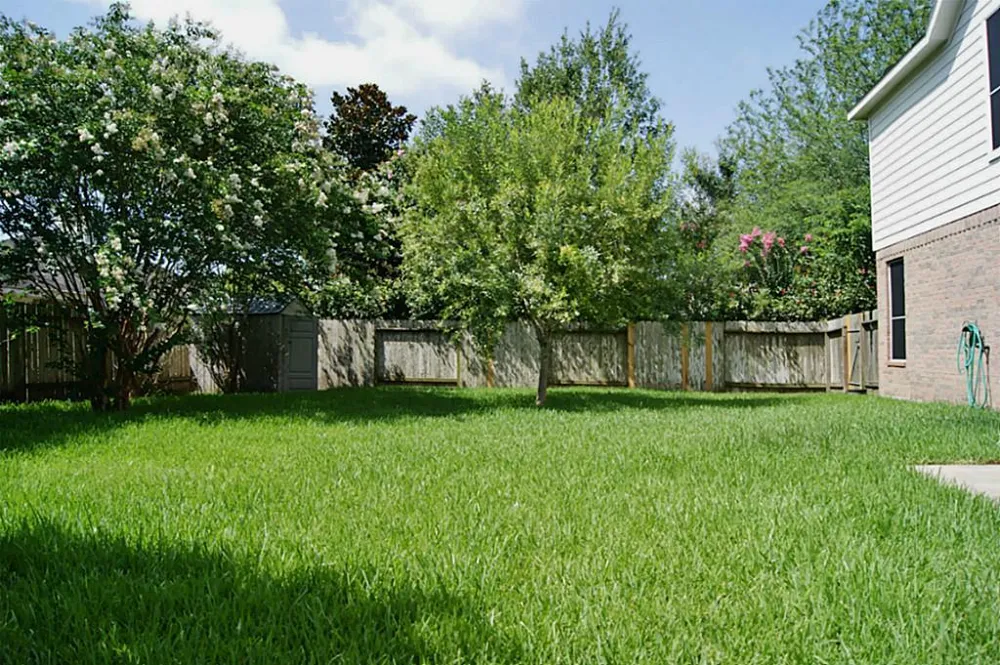 2516 Royal Terns Court League City, TX 77573