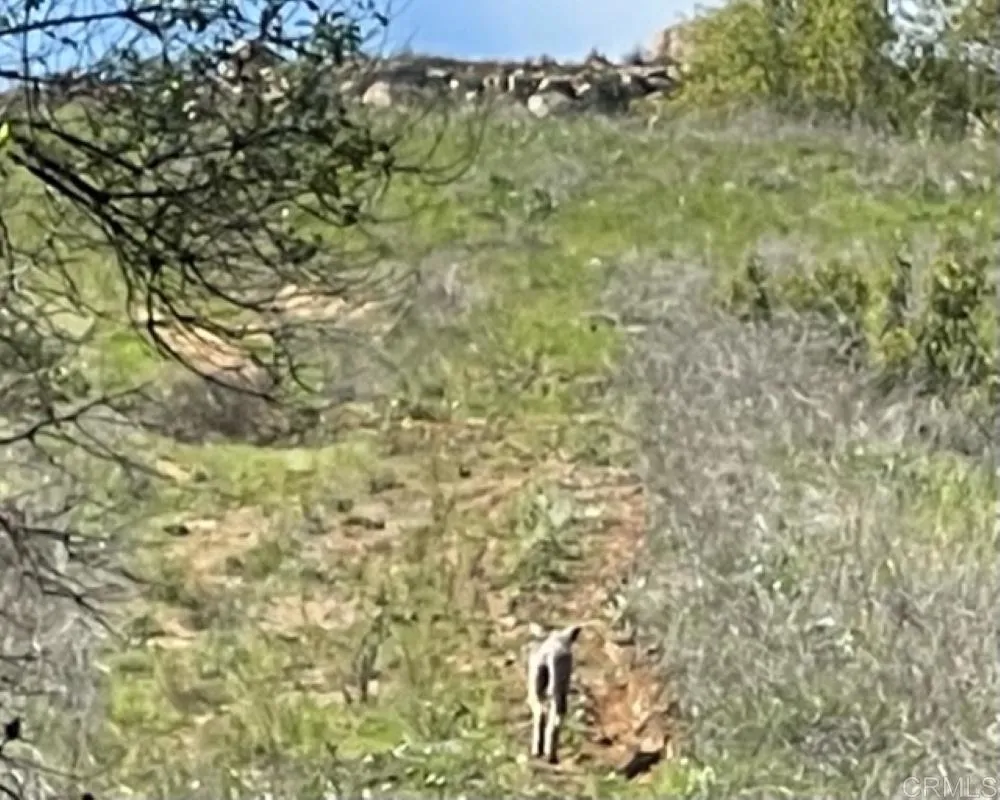 Vista Del Sage Road Valley Center, CA 92082