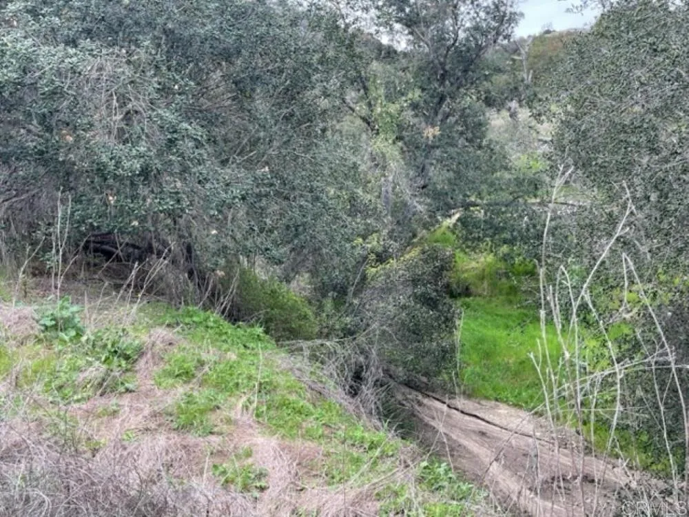 Vista Del Sage Road Valley Center, CA 92082