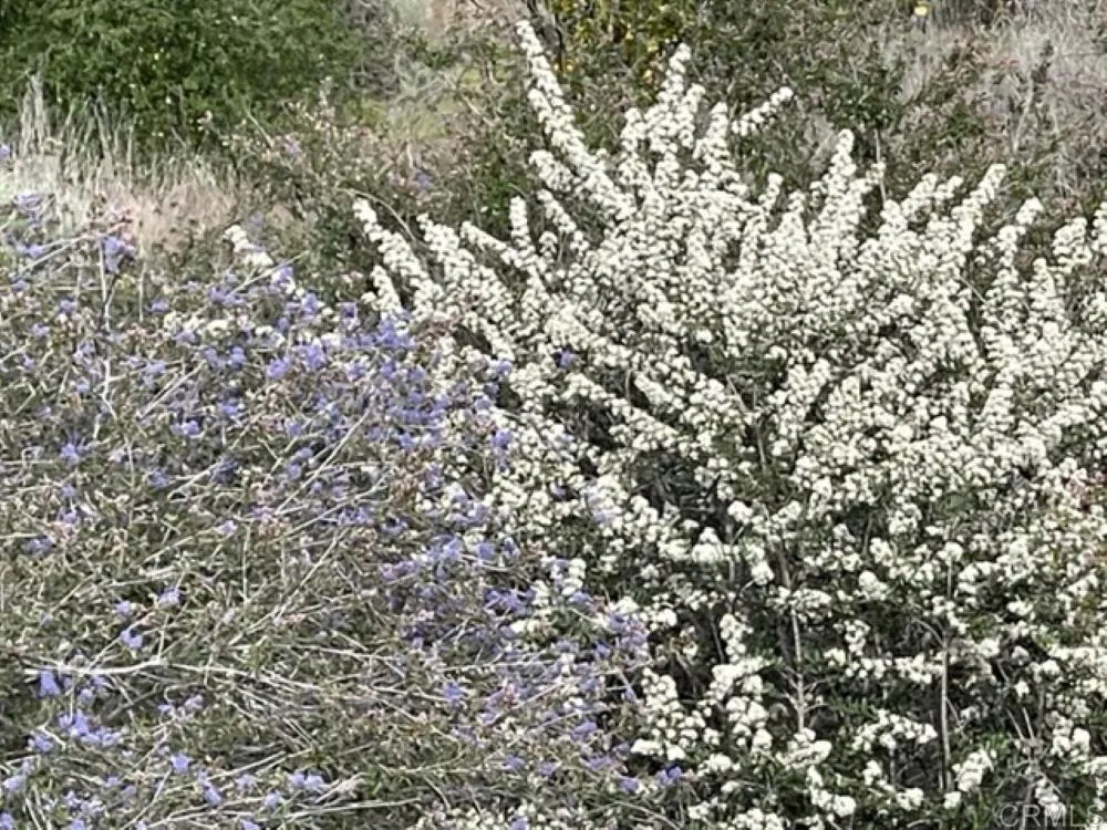 Vista Del Sage Road Valley Center, CA 92082