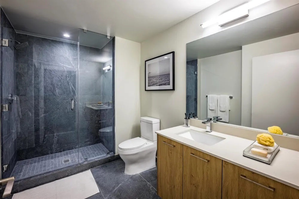286 NW 29th Street #413 Miami, FL 33127